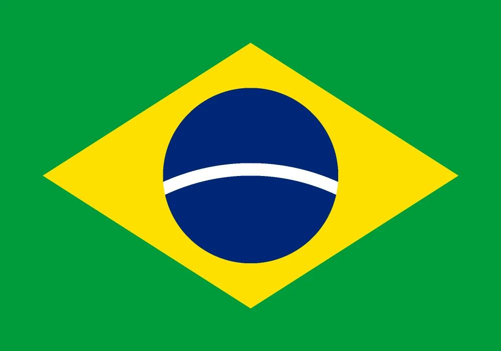 Português (Brasil)